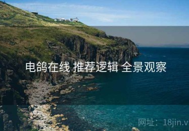电鸽在线 推荐逻辑 全景观察