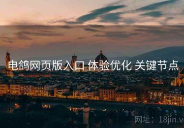 电鸽网页版入口 体验优化 关键节点