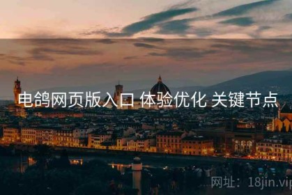 电鸽网页版入口 体验优化 关键节点