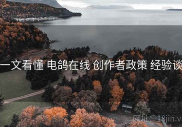 一文看懂 电鸽在线 创作者政策 经验谈