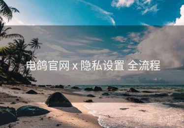 电鸽官网 x 隐私设置 全流程