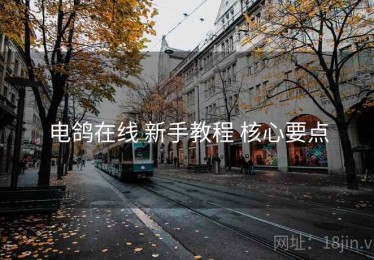 电鸽在线 新手教程 核心要点