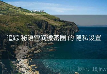 追踪 秘语空间微密圈 的 隐私设置