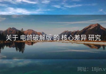 关于 电鸽破解版 的 核心差异 研究