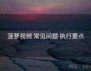 菠萝视频 常见问题 执行要点