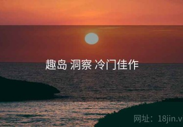趣岛 洞察 冷门佳作