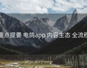 重点提要 电鸽app 内容生态 全流程