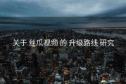 关于 丝瓜视频 的 升级路线 研究