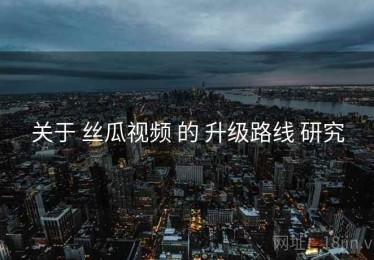 关于 丝瓜视频 的 升级路线 研究