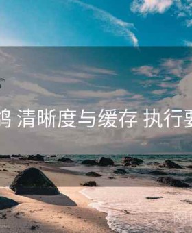 电鸽 清晰度与缓存 执行要点