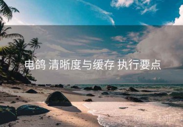 电鸽 清晰度与缓存 执行要点