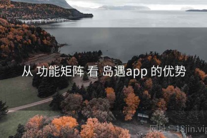 从 功能矩阵 看 岛遇app 的优势