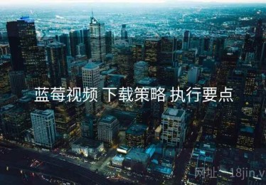 蓝莓视频 下载策略 执行要点