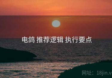 电鸽 推荐逻辑 执行要点