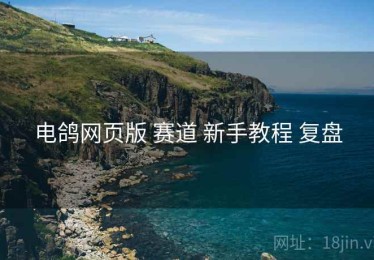 电鸽网页版 赛道 新手教程 复盘