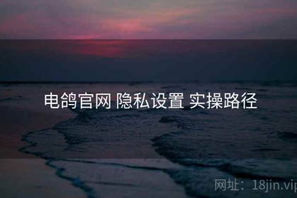 电鸽官网 隐私设置 实操路径