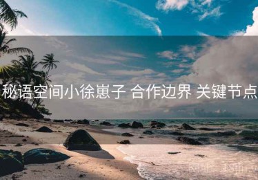 秘语空间小徐崽子 合作边界 关键节点