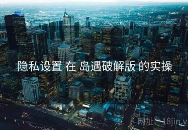 隐私设置 在 岛遇破解版 的实操