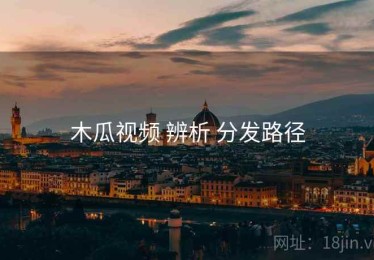 木瓜视频 辨析 分发路径