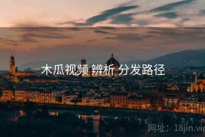 木瓜视频 辨析 分发路径