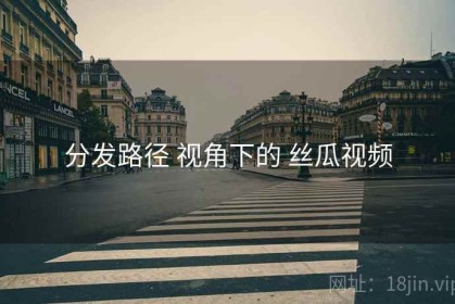 分发路径 视角下的 丝瓜视频