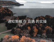 通知策略 在 岛遇 的实操