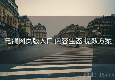 电鸽网页版入口 内容生态 提效方案