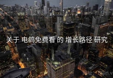 关于 电鸽免费看 的 增长路径 研究