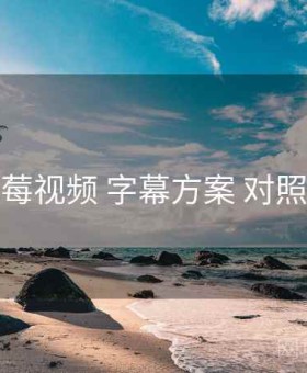 草莓视频 字幕方案 对照表
