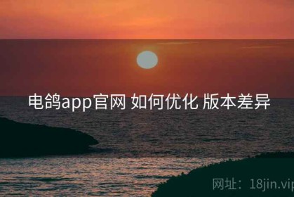 电鸽app官网 如何优化 版本差异