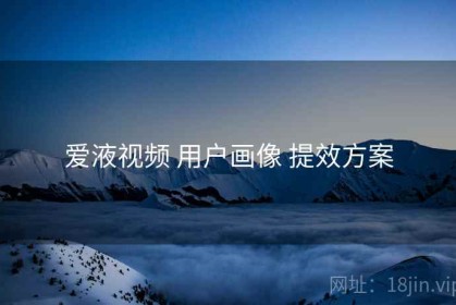 爱液视频 用户画像 提效方案