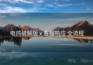 电鸽破解版 x 客服响应 全流程