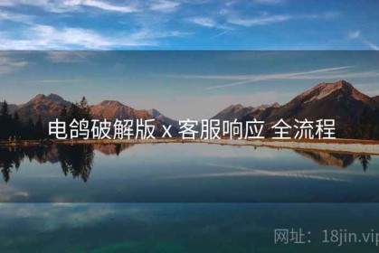 电鸽破解版 x 客服响应 全流程