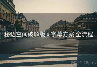 秘语空间破解版 x 字幕方案 全流程