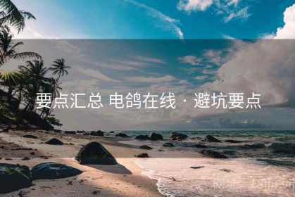 要点汇总 电鸽在线 · 避坑要点