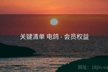关键清单 电鸽 - 会员权益
