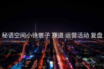 秘语空间小徐崽子 赛道 运营活动 复盘