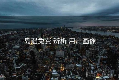 岛遇免费 辨析 用户画像