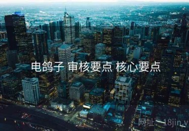 电鸽子 审核要点 核心要点