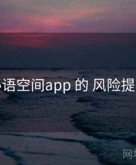 关于 秘语空间app 的 风险提示 研究