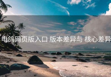 电鸽网页版入口 版本差异与 核心差异