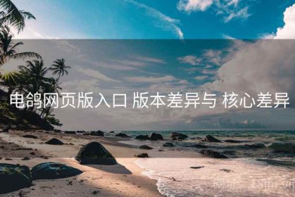 电鸽网页版入口 版本差异与 核心差异