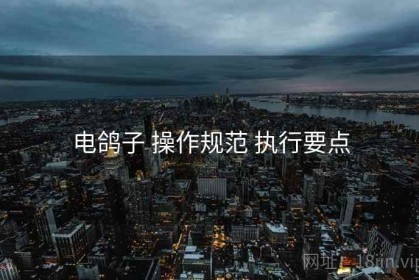 电鸽子 操作规范 执行要点
