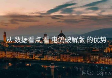 从 数据看点 看 电鸽破解版 的优势