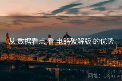 从 数据看点 看 电鸽破解版 的优势