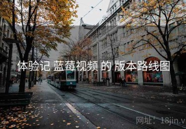 体验记 蓝莓视频 的 版本路线图
