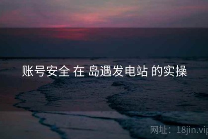 账号安全 在 岛遇发电站 的实操