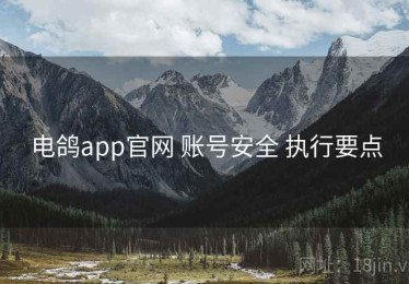 电鸽app官网 账号安全 执行要点