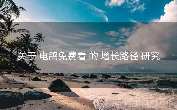 关于 电鸽免费看 的 增长路径 研究