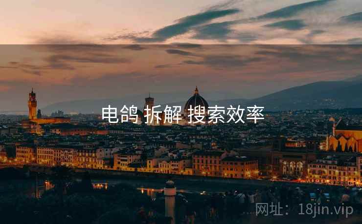 电鸽 拆解 搜索效率